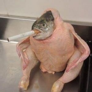 Meet your Posher, Erik